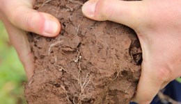 Understanding soil structure